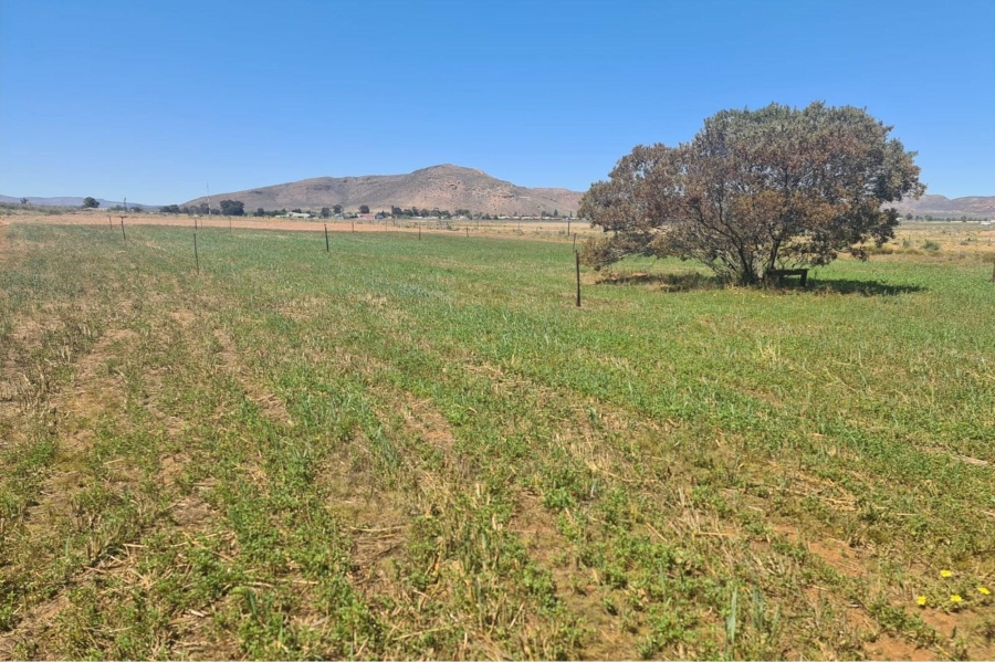 0 Bedroom Property for Sale in Touws River Rural Western Cape